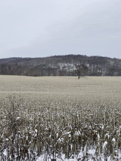 Hillman State Park - Burgettstown, PA
