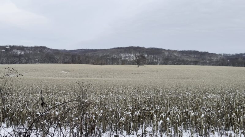 Hillman State Park - Burgettstown, PA
