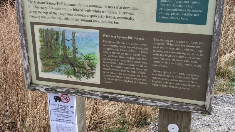 Balsam Nature Trail - Burnsville, NC