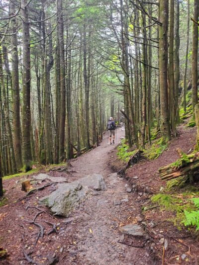 Balsam Nature Trail - Burnsville, NC