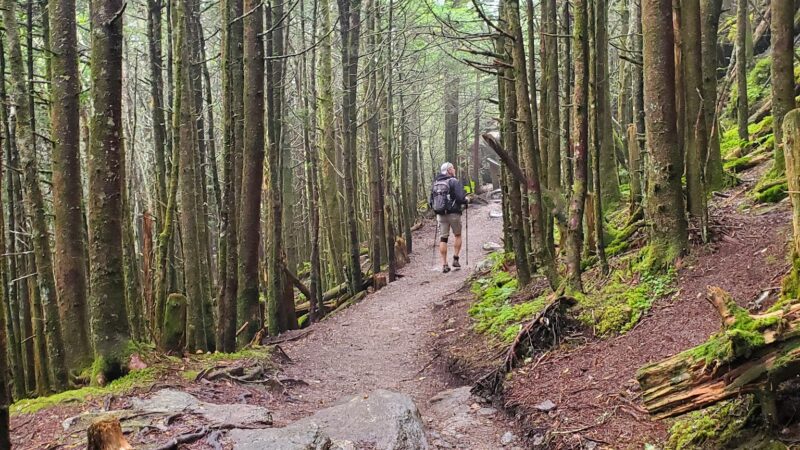 Balsam Nature Trail - Burnsville, NC