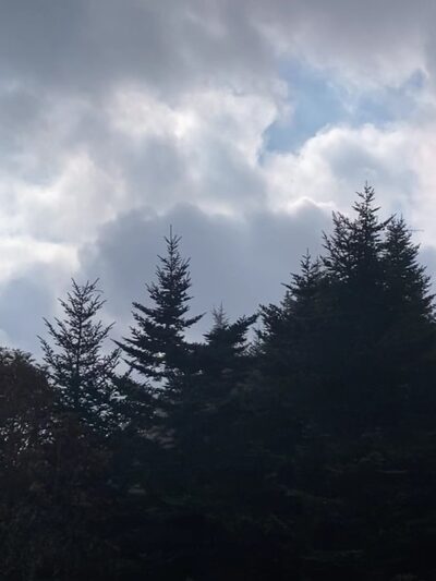 Balsam Nature Trail - Burnsville, NC