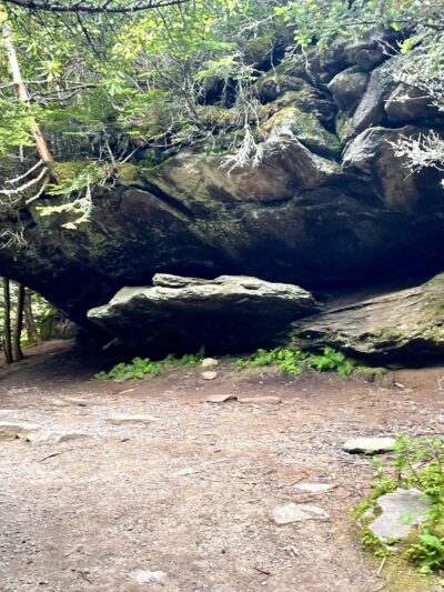 Balsam Nature Trail - Burnsville, NC