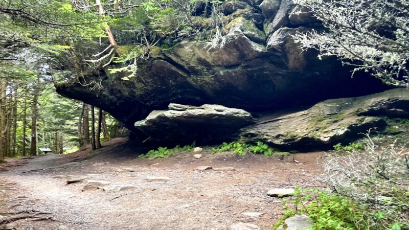 Balsam Nature Trail - Burnsville, NC