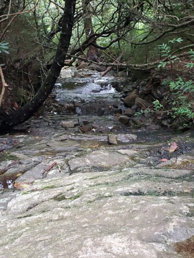 Balsam Nature Trail - Burnsville, NC