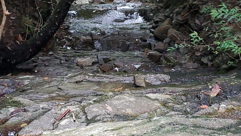 Balsam Nature Trail - Burnsville, NC