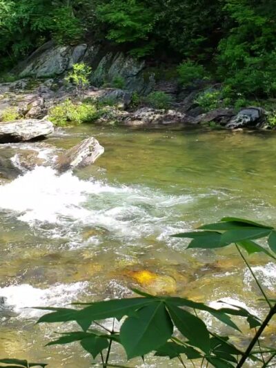 Carolina Hemlocks Recreation Area - Burnsville, NC