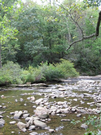 Carolina Hemlocks Recreation Area - Burnsville, NC