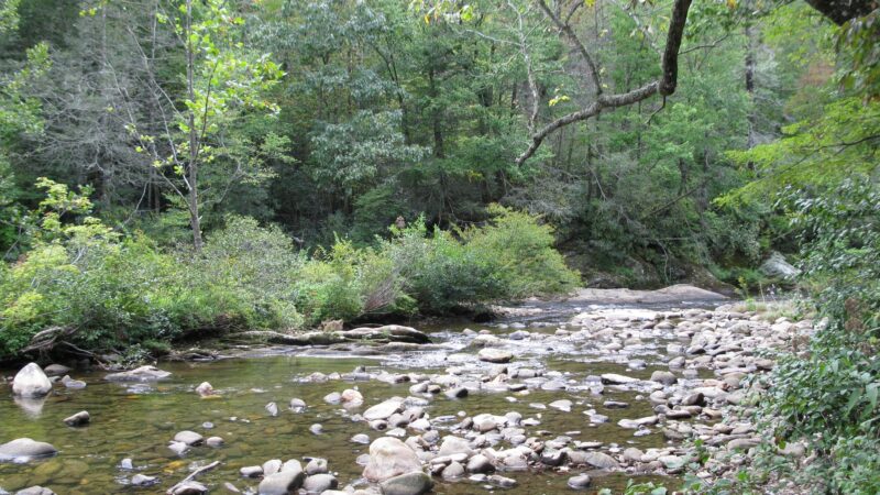 Carolina Hemlocks Recreation Area - Burnsville, NC