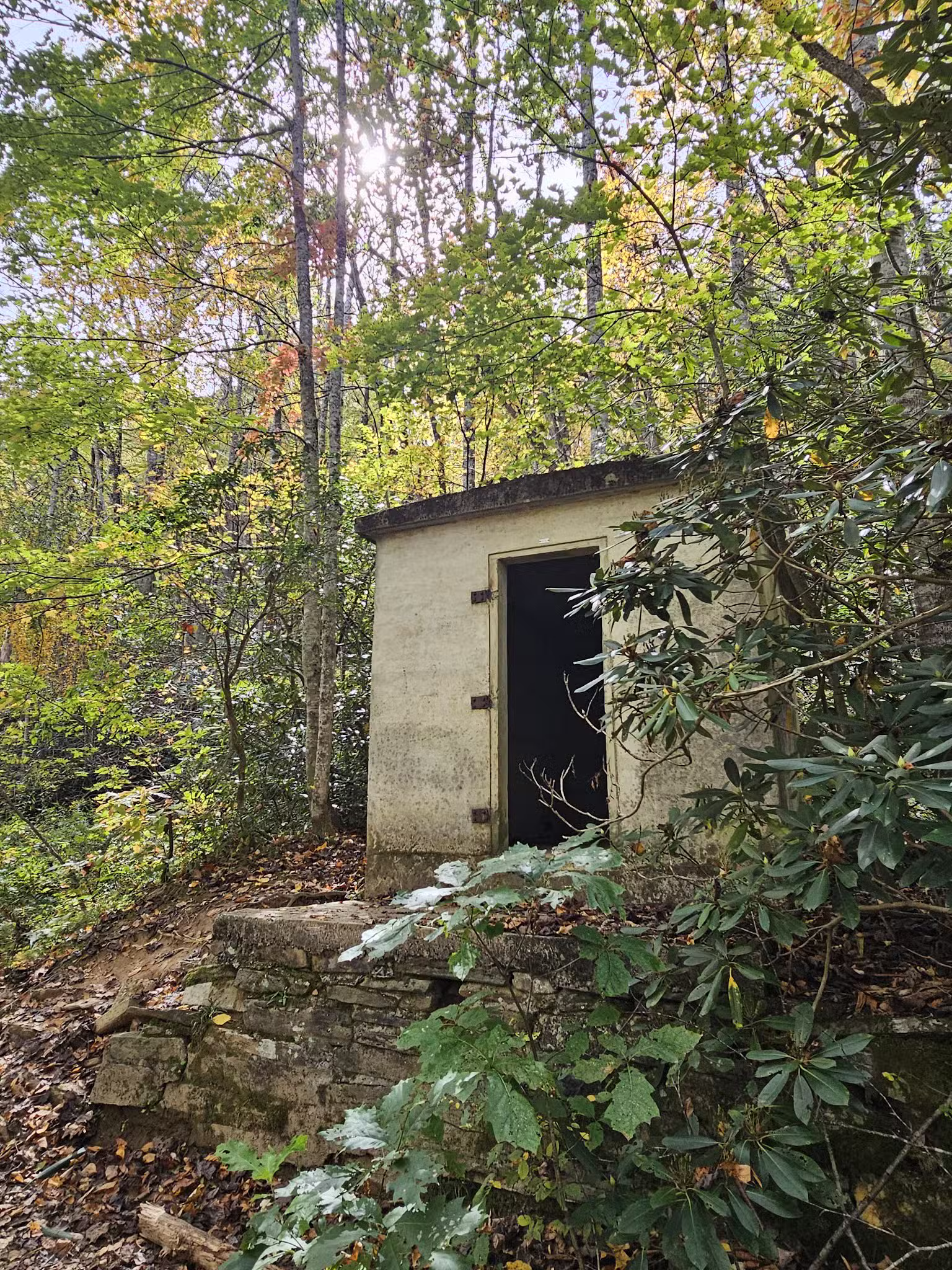 Roaring Fork Falls Trailhead - Burnsville, NC