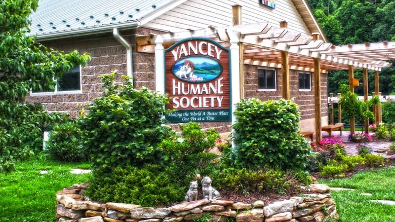 Yancey County Humane Society - Burnsville, NC