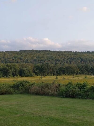 Delaware Water Gap National Recreation Area - Bushkill, PA