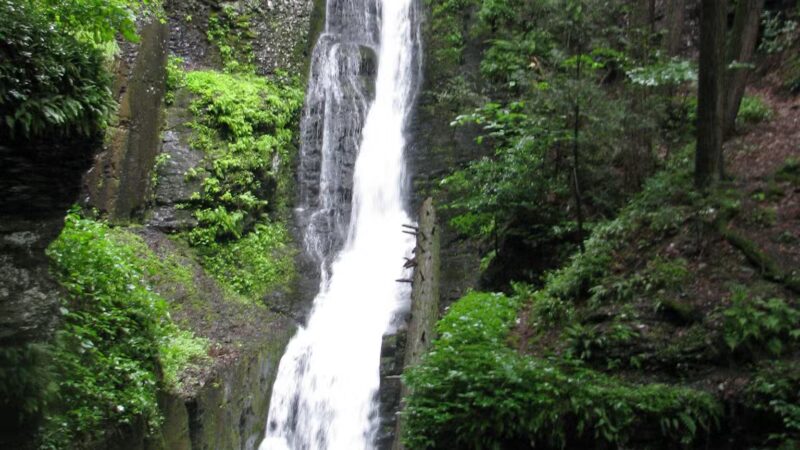 Delaware Water Gap National Recreation Area - Bushkill, PA