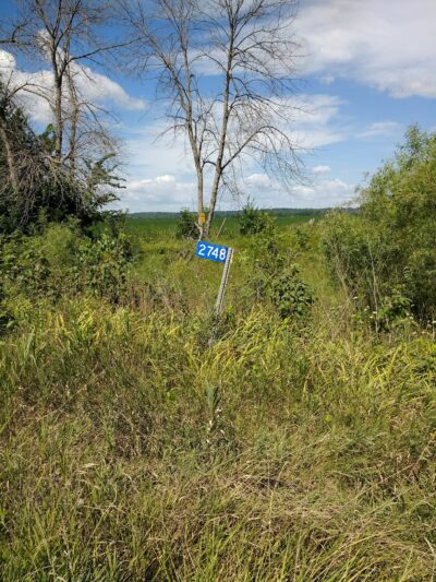 Cedar Creek Access - Bussey, IA