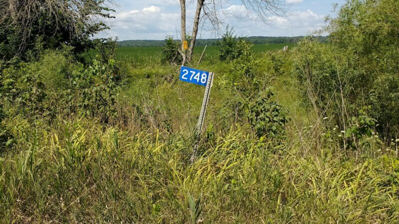 Cedar Creek Access - Bussey, IA