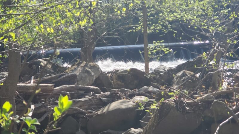 Yapewi Park - Butler, NJ
