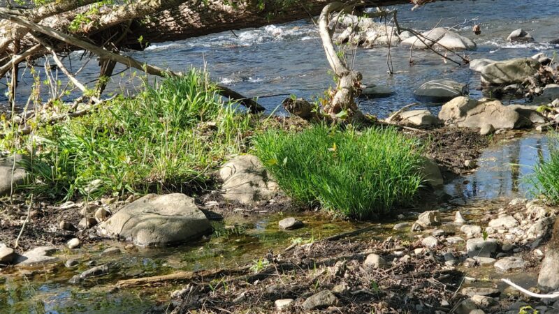 Yapewi Park - Butler, NJ