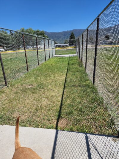 Longfellow Fields - Butte, MT