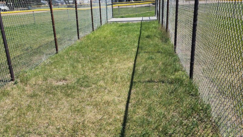 Longfellow Fields - Butte, MT