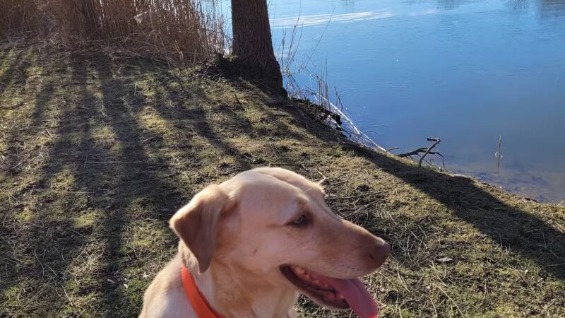 Trestle Park - Byron, NY