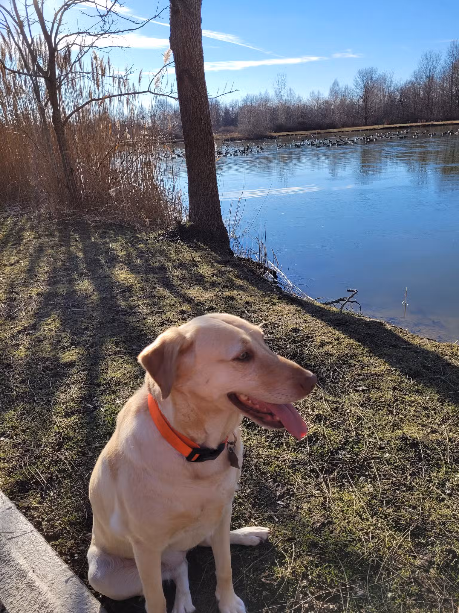 Trestle Park - Byron, NY