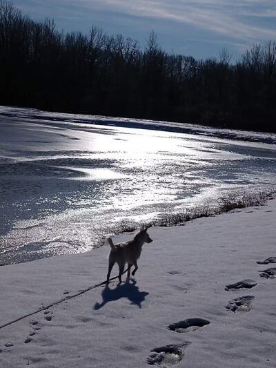 Trestle Park - Byron, NY