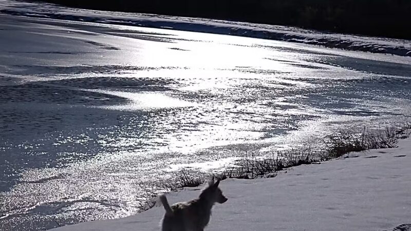 Trestle Park - Byron, NY
