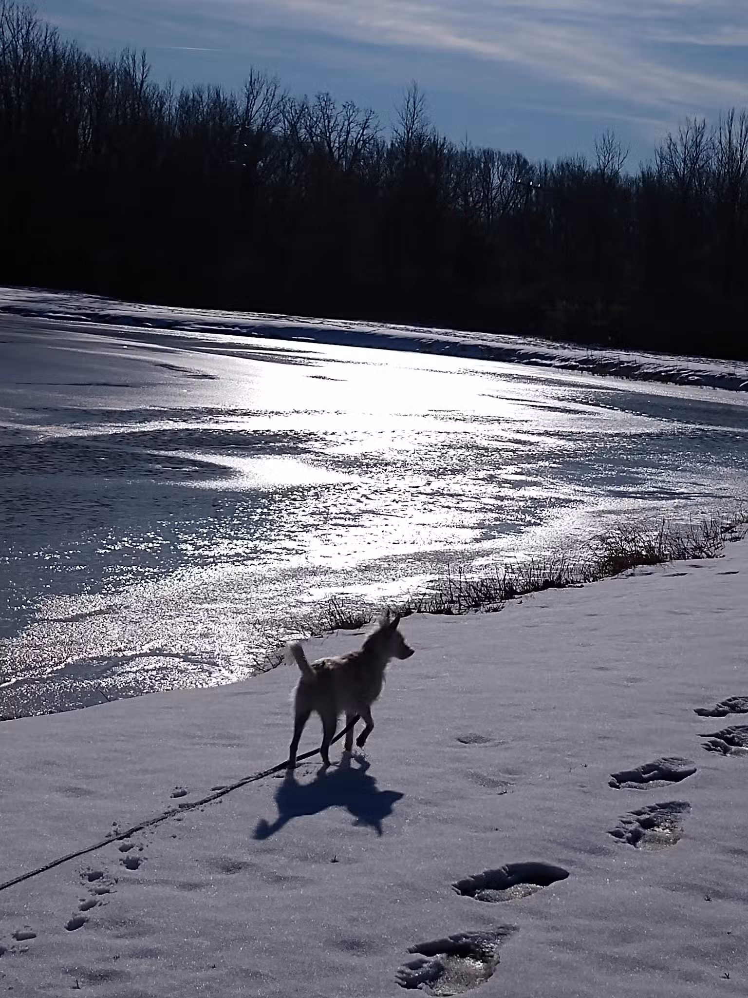 Trestle Park - Byron, NY