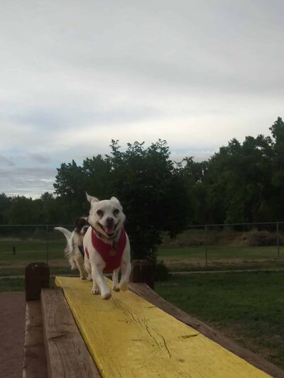 Off Leash Dog Park - Cañon City, CO