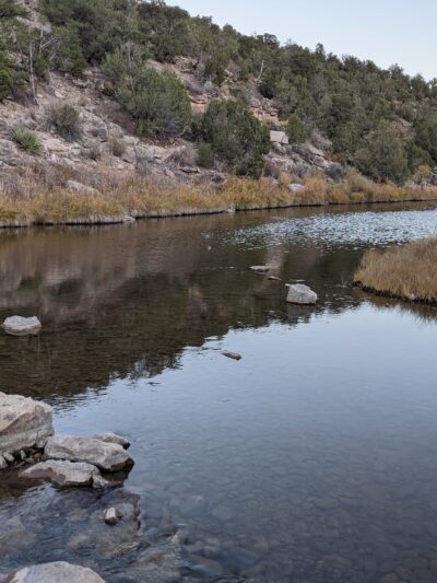 Bradfield Campground - Cahone, CO