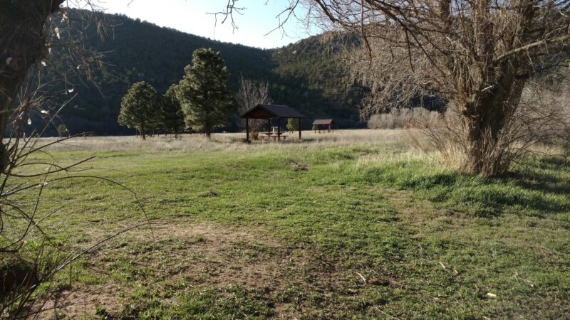 Bradfield Campground - Cahone, CO