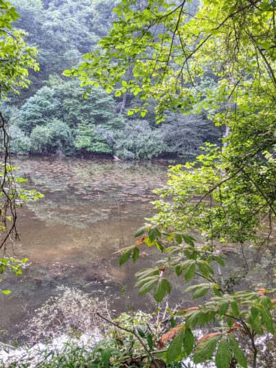 North Bend Trail Head East - Cairo, WV