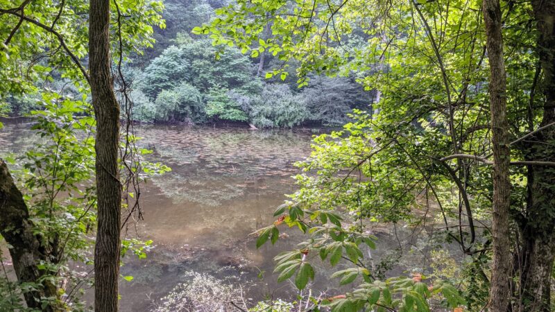 North Bend Trail Head East - Cairo, WV