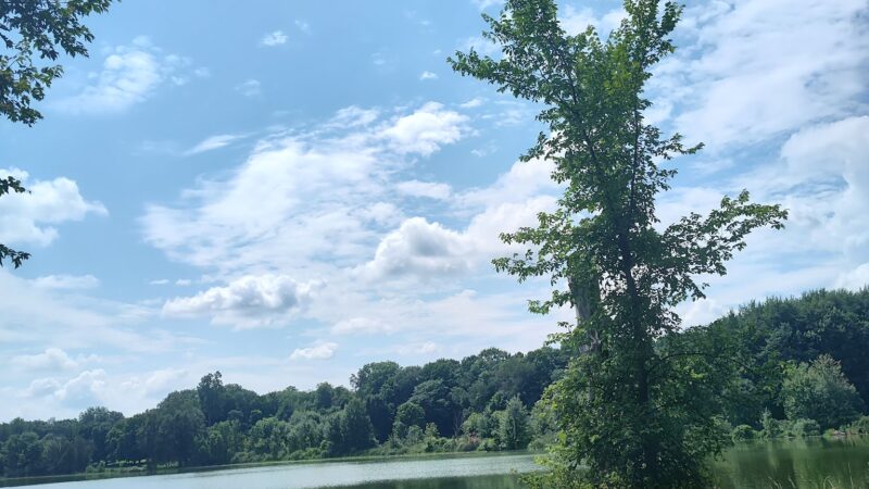Caledonia Community Green Dog Park - Caledonia, MI