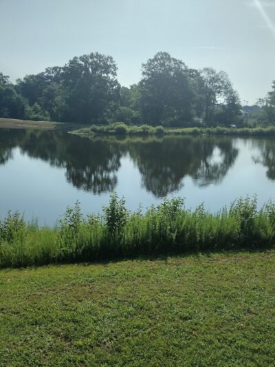 Calhoun Recreation Park Fields 1-4 - Calhoun, GA