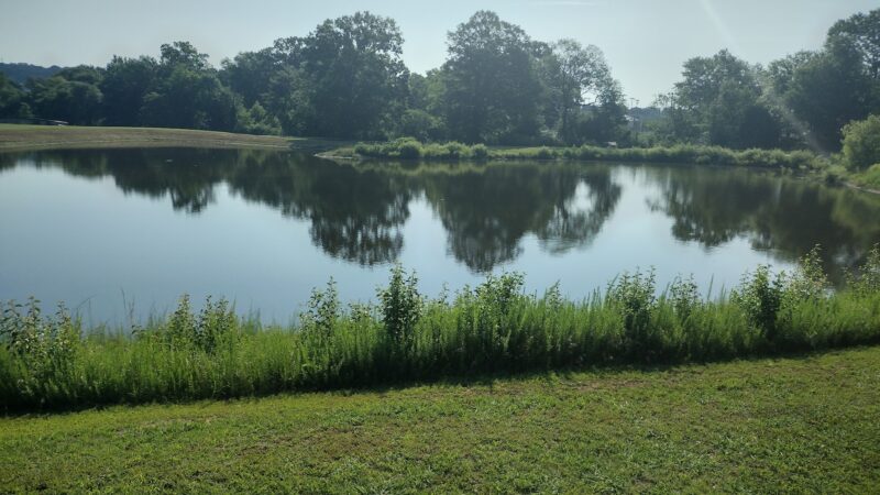 Calhoun Recreation Park Fields 1-4 - Calhoun, GA