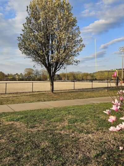 Calhoun Recreation Park Fields 1-4 - Calhoun, GA