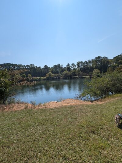 Ooky Memorial Park - Calhoun, GA