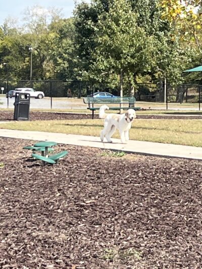 Palmer Memorial Park - Calhoun, GA