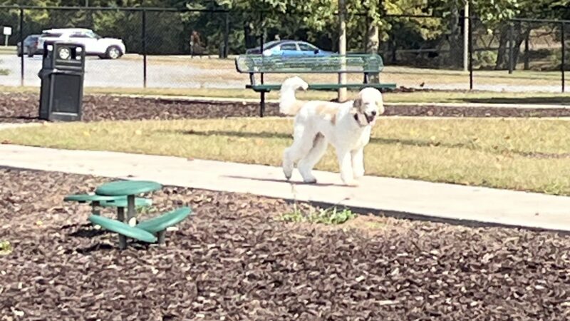 Palmer Memorial Park - Calhoun, GA