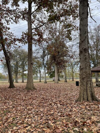 Palmer Memorial Park - Calhoun, GA