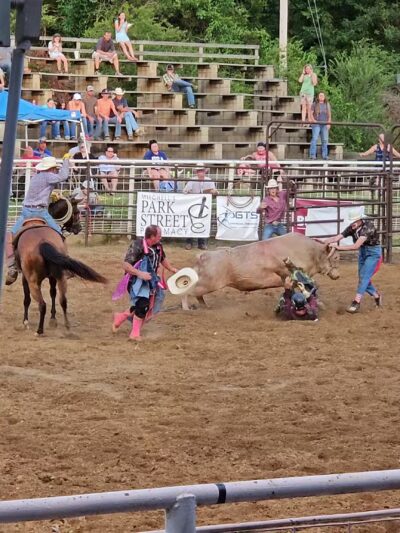 Earl King Park - Calico Rock, AR