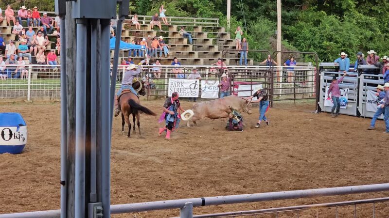 Earl King Park - Calico Rock, AR