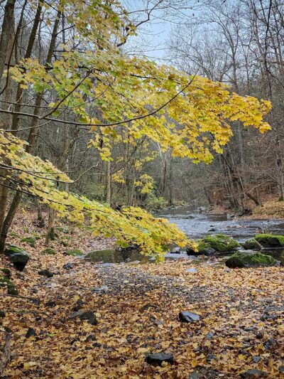Ken Lockwood Park North - Califon, NJ