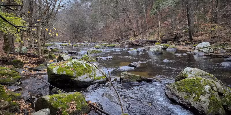 Ken Lockwood Park North - Califon, NJ