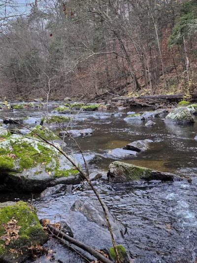 Ken Lockwood Park North - Califon, NJ