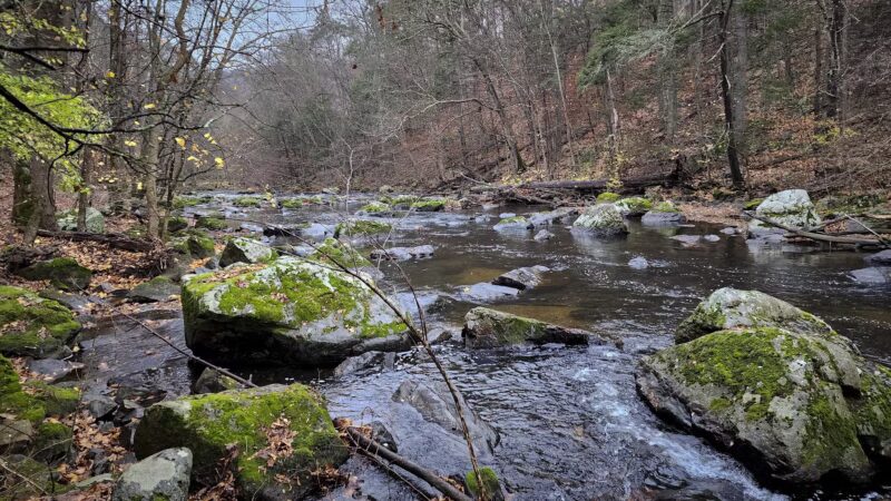 Ken Lockwood Park North - Califon, NJ