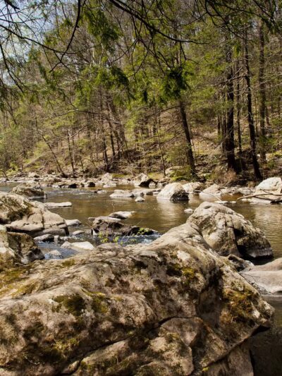 Ken Lockwood Park North - Califon, NJ