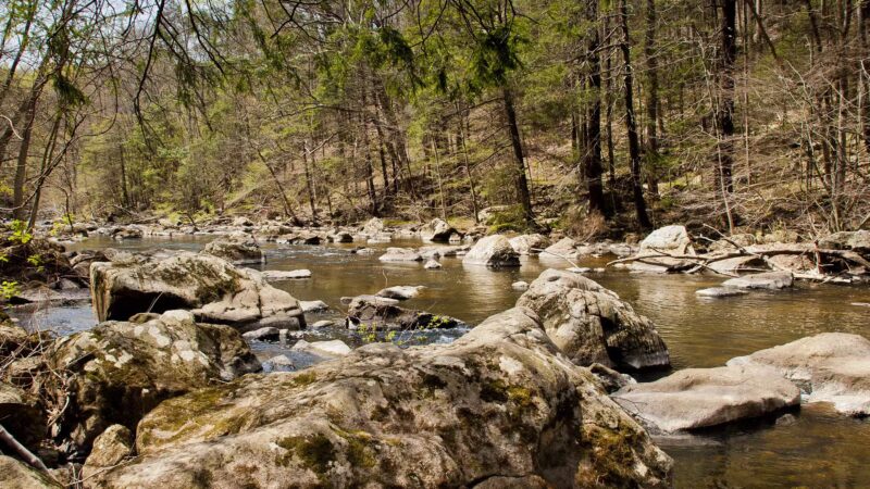 Ken Lockwood Park North - Califon, NJ