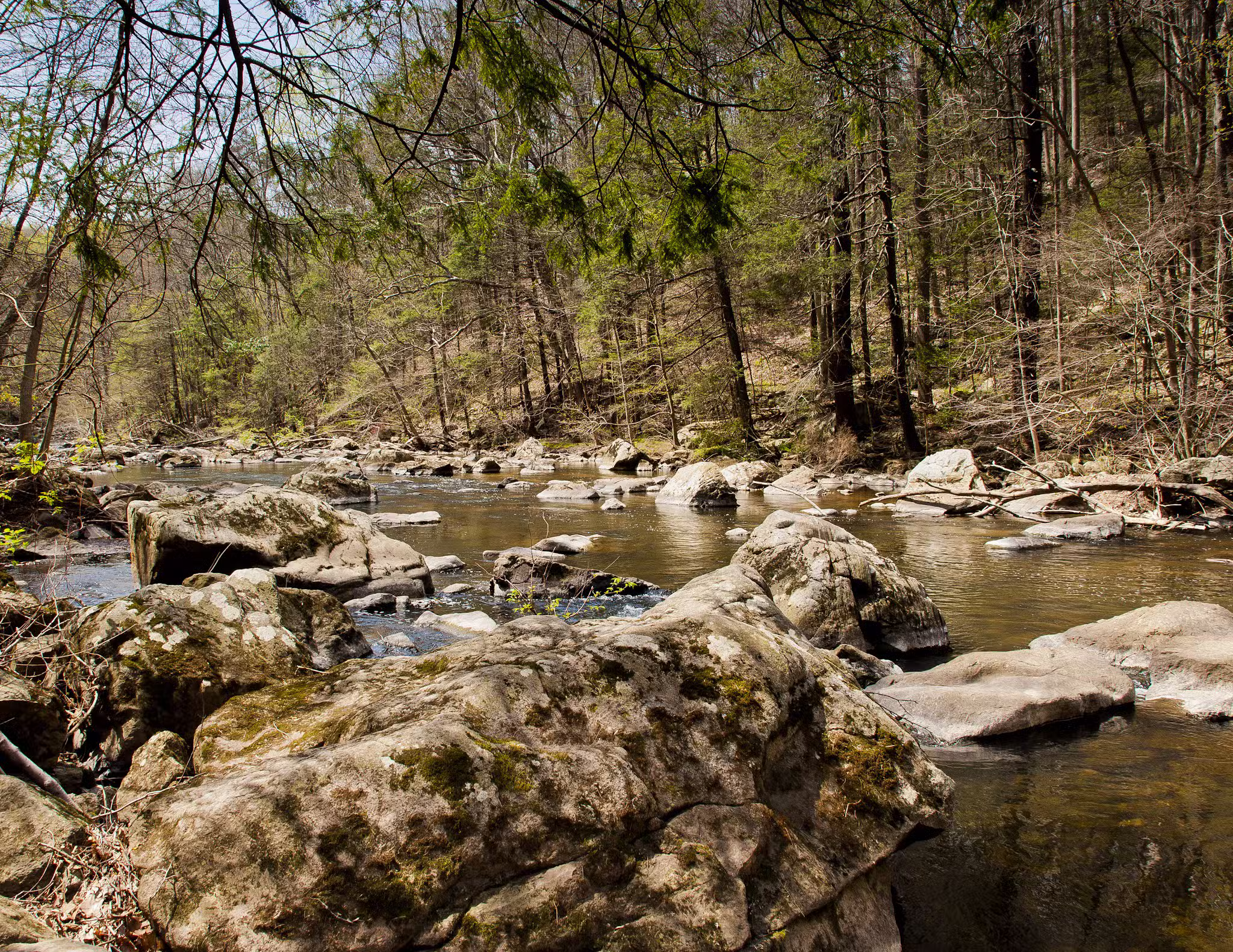 Ken Lockwood Park North - Califon, NJ